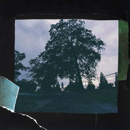 Amazon.com: 2014 Forest Hills Drive